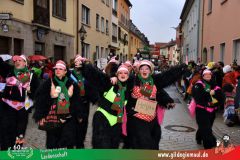 2026_Faschingszug_Heidingsfeld-188