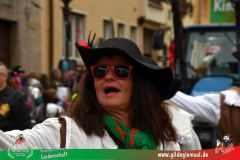 2026_Faschingszug_Heidingsfeld-192