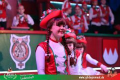 2026-Kinderfasching-079