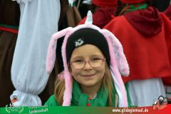 2026_Kinderfaschingszug_WUE-006