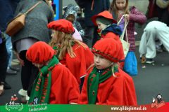 2026_Kinderfaschingszug_WUE-011