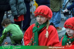2026_Kinderfaschingszug_WUE-044