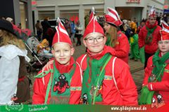 2026_Kinderfaschingszug_WUE-049