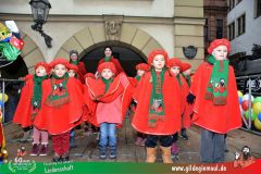 2026_Kinderfaschingszug_WUE-079