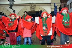 2026_Kinderfaschingszug_WUE-082