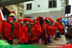2026_Kinderfaschingszug_WUE-088