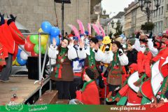 2026_Kinderfaschingszug_WUE-092