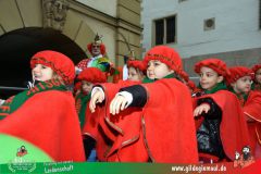 2026_Kinderfaschingszug_WUE-095