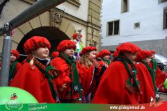 2026_Kinderfaschingszug_WUE-097