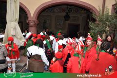 2026_Kinderfaschingszug_WUE-101