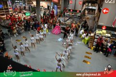 2026_SegrosFasching-062