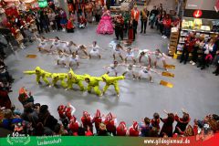 2026_SegrosFasching-064