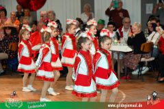 2026_Seniorentanz_Radlersaal-003