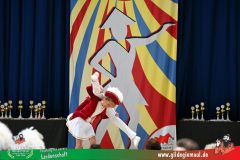 2026_TanzTurnier-009