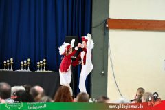 2026_TanzTurnier-019