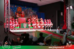 2026_Wuerzburger_BunteSitzung-026