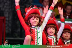 2026_Wuerzburger_BunteSitzung-028