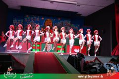 2026_Wuerzburger_BunteSitzung-034