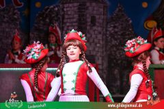 2026_Wuerzburger_BunteSitzung-038