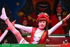 2026_Wuerzburger_BunteSitzung-044