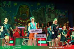 2026_Wuerzburger_BunteSitzung-105