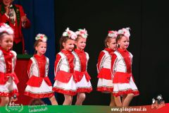 2026_Wuerzburger_BunteSitzung-127