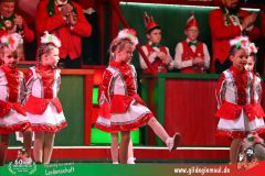 2026_Wuerzburger_BunteSitzung-128