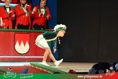 2026_Wuerzburger_BunteSitzung-171