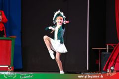 2026_Wuerzburger_BunteSitzung-173