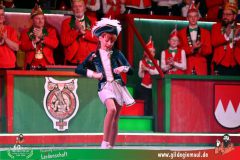 2026_Wuerzburger_BunteSitzung-175