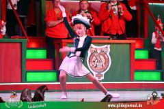 2026_Wuerzburger_BunteSitzung-176