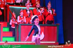 2026_Wuerzburger_BunteSitzung-177