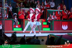 2026_Wuerzburger_BunteSitzung-186