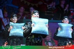 2026_Wuerzburger_BunteSitzung-211