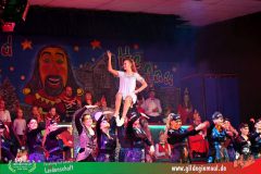 2026_Wuerzburger_BunteSitzung-230