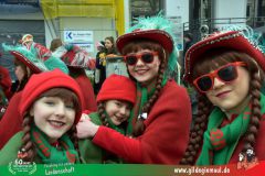2026_Faschingszug_Wuerzburg-001