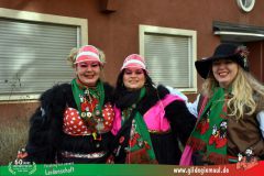 2026_Faschingszug_Wuerzburg-011