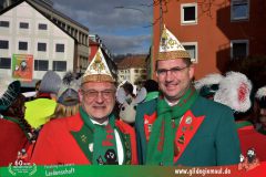 2026_Faschingszug_Wuerzburg-013