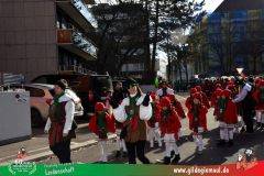 2026_Faschingszug_Wuerzburg-031