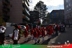 2026_Faschingszug_Wuerzburg-032