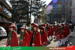2026_Faschingszug_Wuerzburg-033
