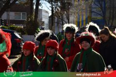 2026_Faschingszug_Wuerzburg-034