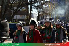 2026_Faschingszug_Wuerzburg-035