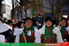 2026_Faschingszug_Wuerzburg-040