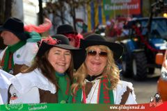 2026_Faschingszug_Wuerzburg-042