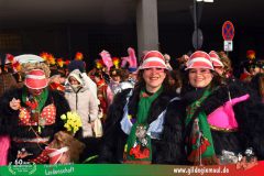 2026_Faschingszug_Wuerzburg-049