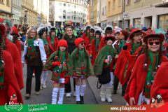 2026_Faschingszug_Wuerzburg-073