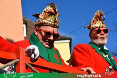 2026_Faschingszug_Wuerzburg-079