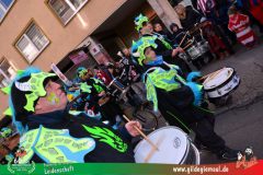 2026_Faschingszug_Wuerzburg-087