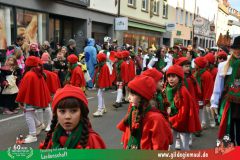 2026_Faschingszug_Wuerzburg-093